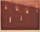 Jeff Makin, Desert Boabs, 2002, etching