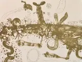John Olsen, Kangaroo Country, 1979, lithograph