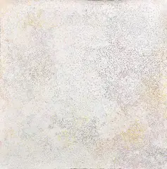 Kathleen Ngale, Bush Plum,, 2002, acrylic on linen
