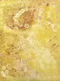 My Country I by Emily Kame Kngwarreye, 1995, acrylic on canvas, sold Feb 2017