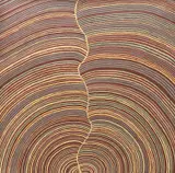Abie Loy Kemarre, Untitled, acrylic on canvas