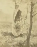 George Henry Seeley, Spring, 1910, platinum print