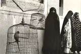 Inge Morath, Three Wives, Shiraz, Iran