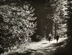 Chamonix by Gyula Halasz Brassai, 1946, silver gelatin print, later printing, sold Nov 2016