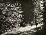 Gyula Halasz Brassai, Chamonix, 1946, silver gelatin print, later printing