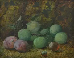 Vincent Clare, Plums, oil on board