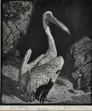The Pelican by Lionel Lindsay, woodcut, sold Aug 2016