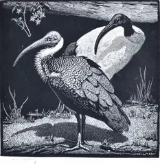 Ibis by Lionel Lindsay, woodcut, sold Aug 2016