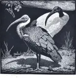 Ibis by Lionel Lindsay, woodcut, sold Aug 2016