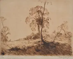 Penleigh Boyd, Edge of the Clearing, etching 5/30