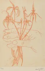 Flowers by Clifton Pugh, etching 39/75, sold May 2016