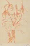 Clifton Pugh, Flowers