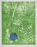 Clifton Pugh, Bush Wren