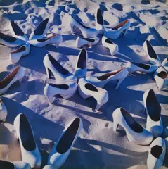 Mari Hirata, Starfish, 2003, c-type print