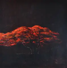Lawrence Daws, Ponciana I-IV, oil and pastel on paper (4 works)