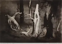 Jacqueline Hick, Dead Gums, aquatint 3/25