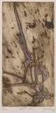 Robert Juniper, Water Iris