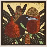 Leslie van der Sluys, Crow and Banksia Serata, 1980, hand-coloured linocut, ed. III/XI (2nd state)