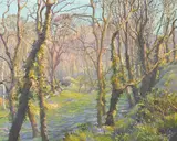 Denys Law, Lamorna Woods - Cornwall, oil on board