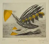 Mark Schaller, Pelican