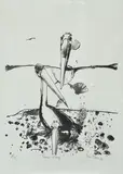 John Olsen, Pelicans Coorong, lithograph 24/25