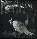 Lionel Lindsay, The White Peacock