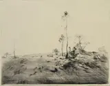 Penleigh Boyd, Saplings
