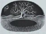 Tim Jones, Just Cos, 2005, lithograph 2/35
