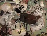 Clifton Pugh, Two Beetles