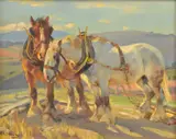 Harold Septimus Power, Draught Horses