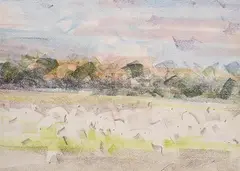 Sam Fullbrook, Feeding Sheep - Oonavale, pastel on paper
