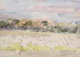 Sam Fullbrook, Feeding Sheep - Oonavale, pastel on paper