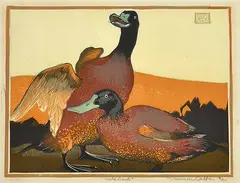 Murray Griffin, Wild Duck, 1933, linocut 4/17