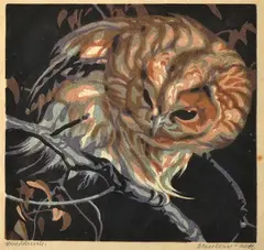Norbertine Bresslern-Roth, Young Owl, linocut
