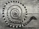 Geoffrey Ricardo, The Long Snake, 1997, etching and aquatint TP