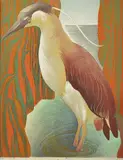 Murray Griffin, Heron