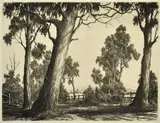 Ernest Abbott, Home Road, etching