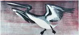 Lesbia Thorpe, Diving Pelican, coloured linocut
