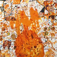 John Olsen, Clarendon Spring, Make Sure the Sun Wipes it's Feet, screenprint on silk 112/500