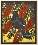 Leslie van der Sluys, White Winged Clough and Calistemon, 1982, hand coloured linocut 88/90