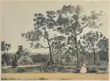 François Cogné, Fitzroy Gardens, engraving, printed by Charles Trodel