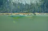 Geoffrey Dyer, King River III