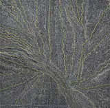 Dorothy Napangardi, Salt on Mina Mina 2007 acrylic on linen, acrylic
