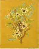 Helen Ogilvie, Daisies colour woodcut edition 11/26 26.5 x 21cm