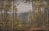 Eugene von Guerard, Forest Cape, Otway Ranges 1856 chromolithograph 33 x 50.5cm