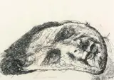 Mike Parr, Zastruga Self Portrait 1986