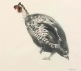 Salvatore Zofrea, Bush Turkey (Zofrea's Zoo series)