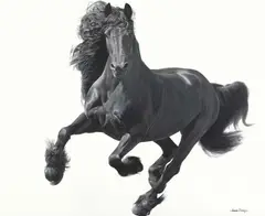 Lawrence Starkey, Running Free 2 - Black Friesian, oil on canvas