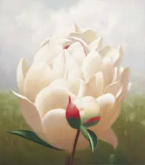 Deborah Russell, Untitled (Peony) 1997, 1997, oil on canvas