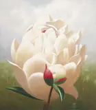 Deborah Russell, Untitled (Peony) 1997, 1997, oil on canvas